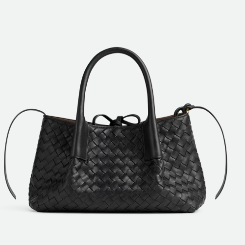 BOTTEGA VENETA pinacoteca 보테가 베네타 스몰 피나코테카